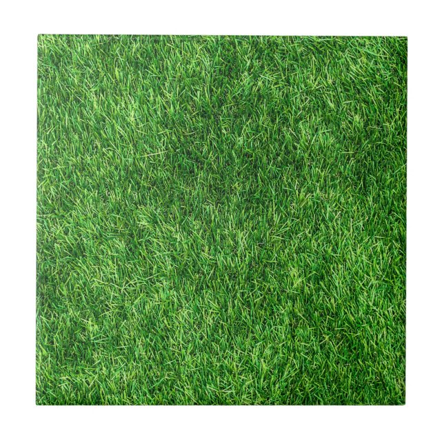 Carreau motif à herbe verte (Devant)