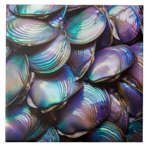 Carreau Motif Abstrait Abalone Shell