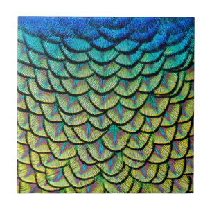 Carreau Motif Art déco dans Peacock Feathers Close Up