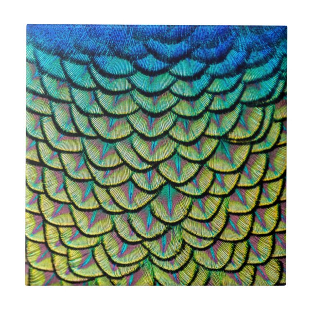 Carreau Motif Art déco dans Peacock Feathers Close Up (Devant)
