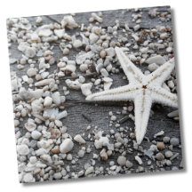 Motif Coastal Ocean Sea Shell