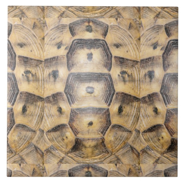 Carreau Motif de coque Tortoise (Devant)