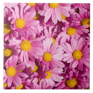 Carreau Motif de marguerite rose