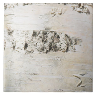 Carreau Motif d'écorce de bouleau