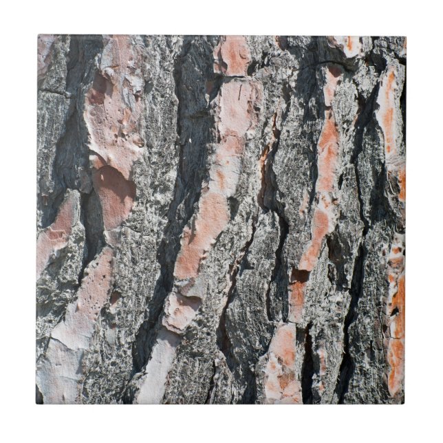 Carreau Motif d'écorce de pin (Devant)