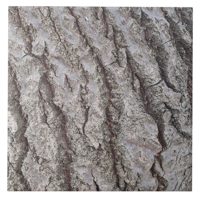 Carreau Motif en bois écorce (Devant)