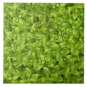 Carreau Motif Feuille Basil