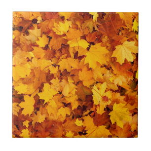 Carreau Motif Feuille d'Érable-25877