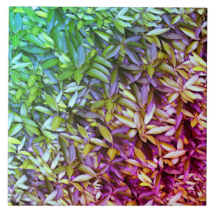 Carreau Motif Feuille verdoyant - Nature Botanique