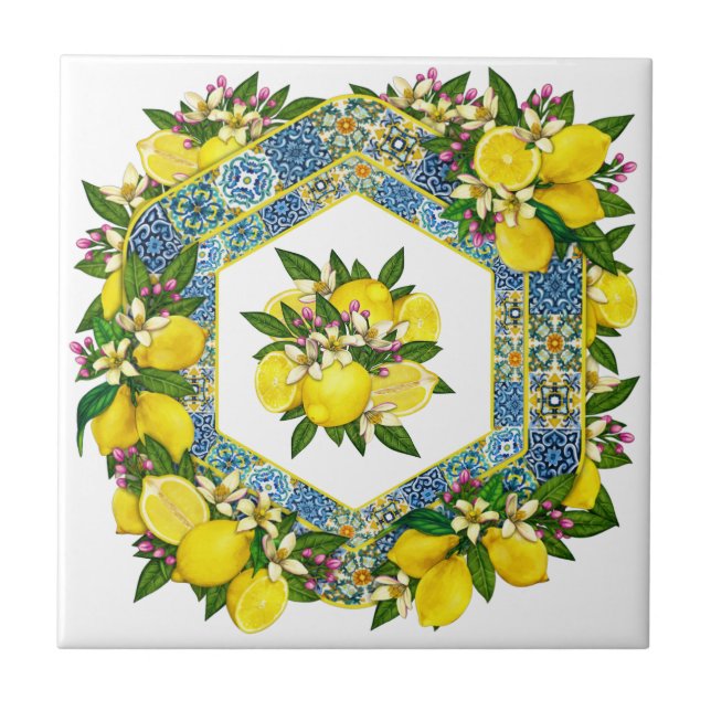 Carreau Motif méditerranéen Couleur 7 Carrelage en céramiq (Devant)