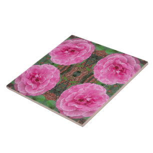 Carreau Motif rose