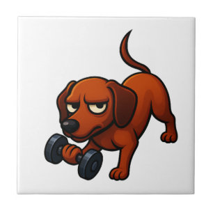 Carreau Motivation comique d'un dachshund énergique avec h