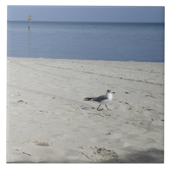 Carreau Mouette simple (Devant)