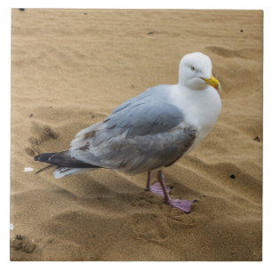 Carreau Mouette sur la mosaïque en céramique de plage