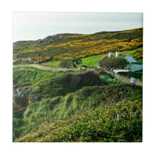 Carreau Moutons en Irlande
