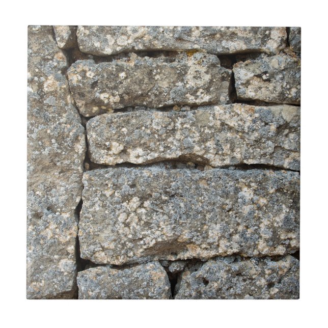 Carreau Mur en briques de pierre (Devant)