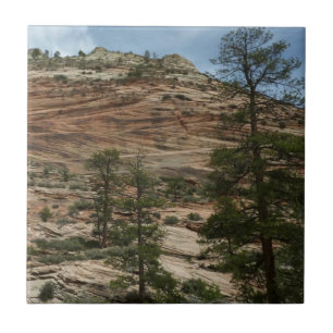Carreau Murs de roche usés dans le parc national de Zion