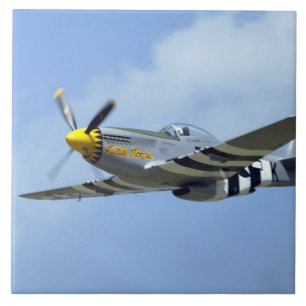 Carreau Mustang nord-américain de P-51D, petit cheval