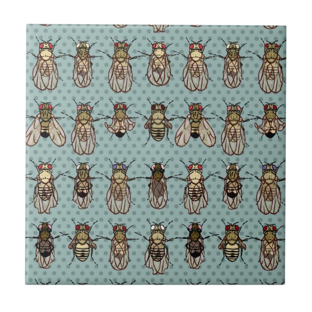 Carreau Mutants de drosophile (Devant)