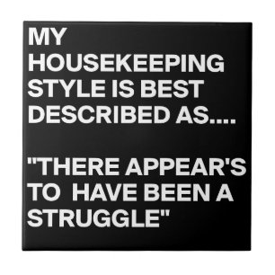 CARREAU MY-HOUSEKEEPING-STYLE-IS-BEST-DESCRIBED-AS-THERE-A