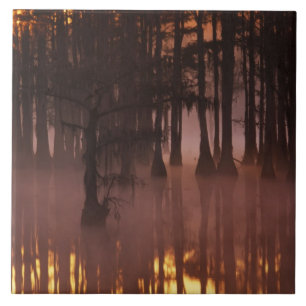 Carreau N.A., États-Unis, Géorgie, Parc d'état George S