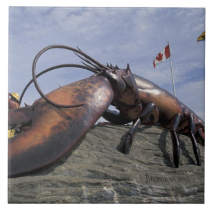 Carreau NA, Canada, Nouveau-Brunswick, Shediak, Monde