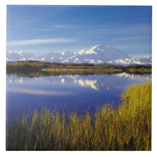 Carreau NA, États-Unis, Alaska, Parc national Denali Mt. M