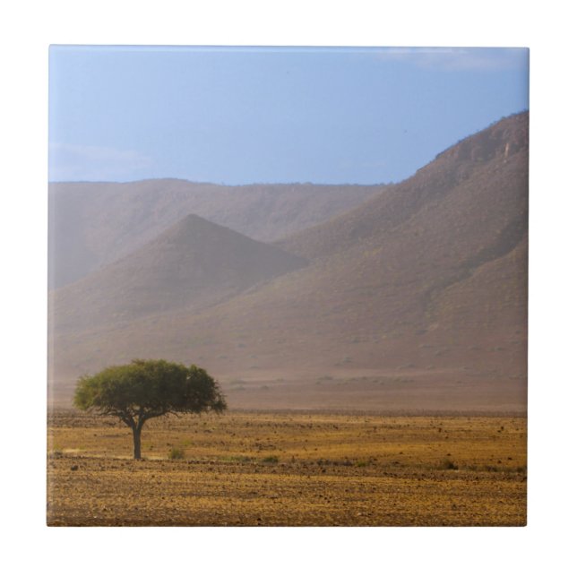 Carreau Namibie Afrique Désert Paysage Nature (Devant)