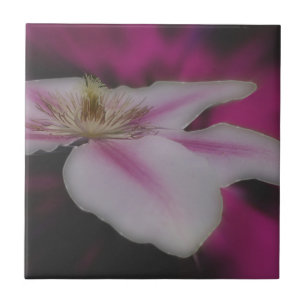 Carreau Nature florale des Clematis blancs
