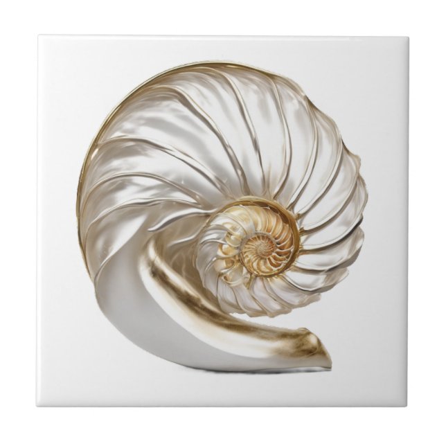 Carreau Nautilus perle de coquillage 3D plage mer nautique (Devant)