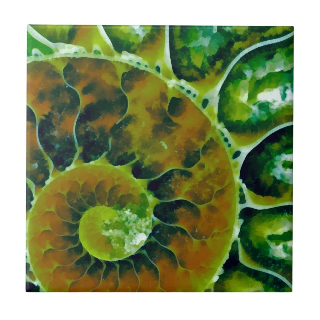 Carreau Nautilus vert (Devant)