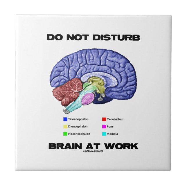 Carreau Ne touchez pas au cerveau au travail (l'humour (Devant)