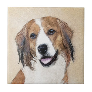 Carreau Nederlandse Kooikerhondje Peinture - Chien Art