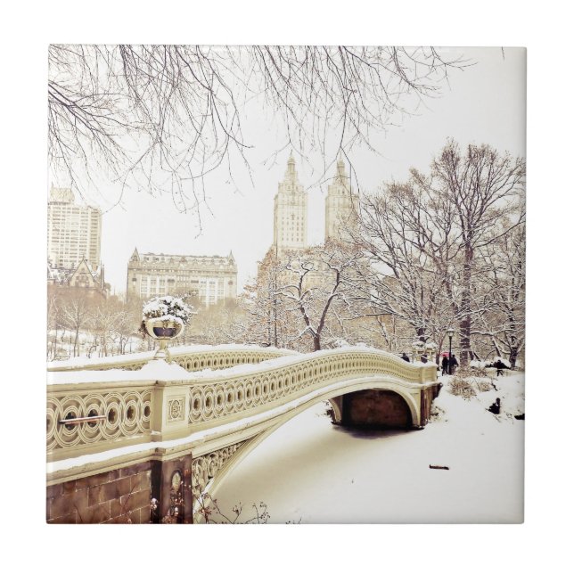Carreau Neige de Central Park - hiver New York (Devant)