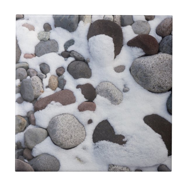 Carreau Neige Et Rochers, Parc national du Mont-Rainier 2 (Devant)