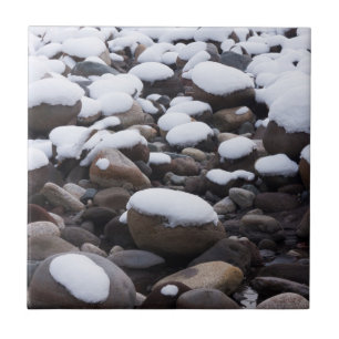 Carreau Neige Et Rochers, Parc National Mt. Rainier