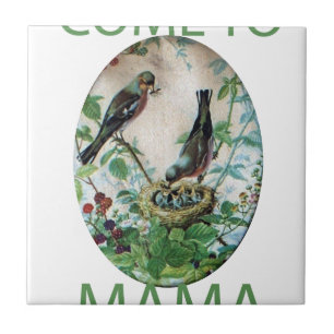 Carreau Nest of Joy : L'amour du jeune esprit nourdissant