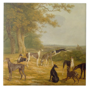 Carreau Neuf lévriers dans un paysage (huile sur la toile)