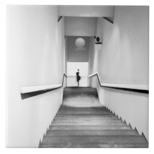 Carreau Nice France, Musée d'art moderne des escaliers (Devant)