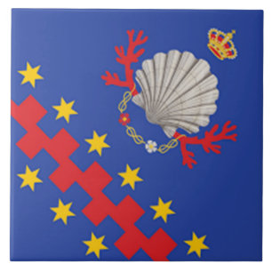 Carreau Nobile Contrada del Nicchio (Coquillage)