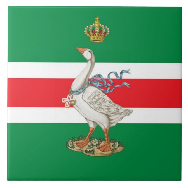 Carreau Nobile Contrada dell' Oca (Oie) Palio (Devant)