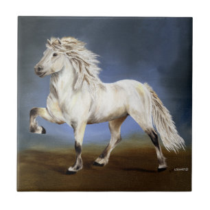 Carreau Noblesse du cheval islandais