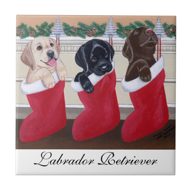 Carreau Noël de chiots de labrador retriever (Devant)