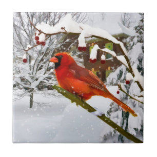 Carreau Noël, oiseau cardinal, neige, tuile