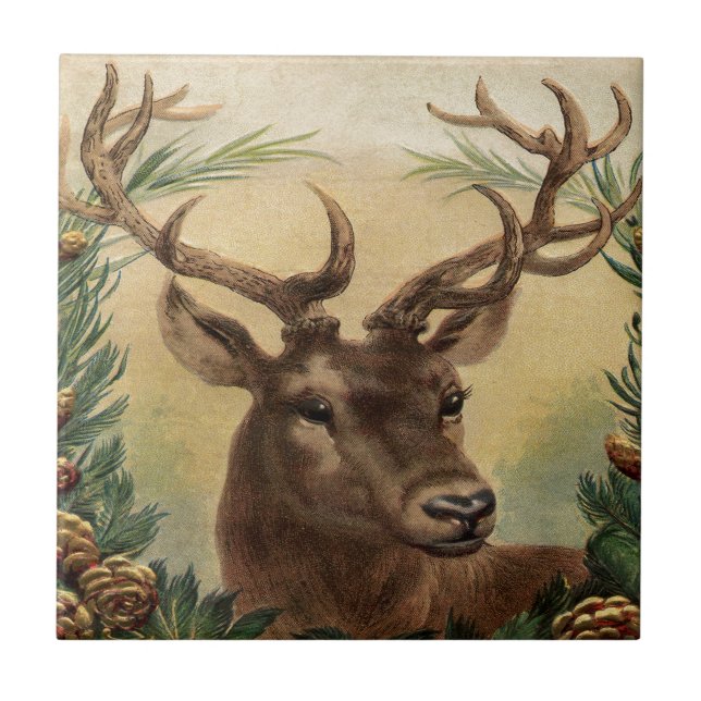 Carreau Noël rustique de cerfs communs de mâle de nature (Devant)