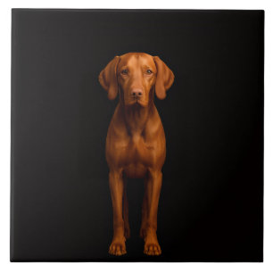 Carreau Noir 4 Luxe avec Chien Vizsla Agile
