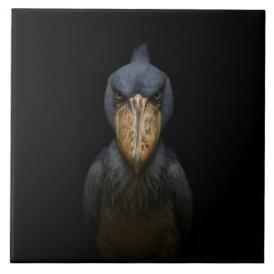 Carreau Noir 4 Luxe avec l'oiseau exotique Shoebil