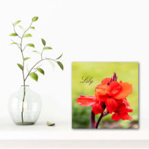 Nom personnalisé Lily rouge