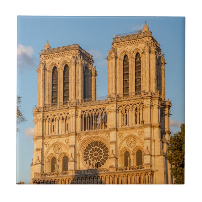 Carreau Notre Dame de Paris à l'Heure d'or - Paris, France (Devant)