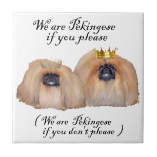 Carreau Nous sommes Pekingese